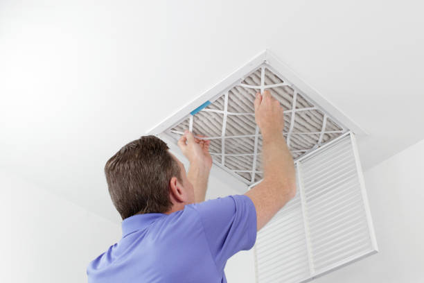 Best HVAC System Cleaning  in La Vista, NE